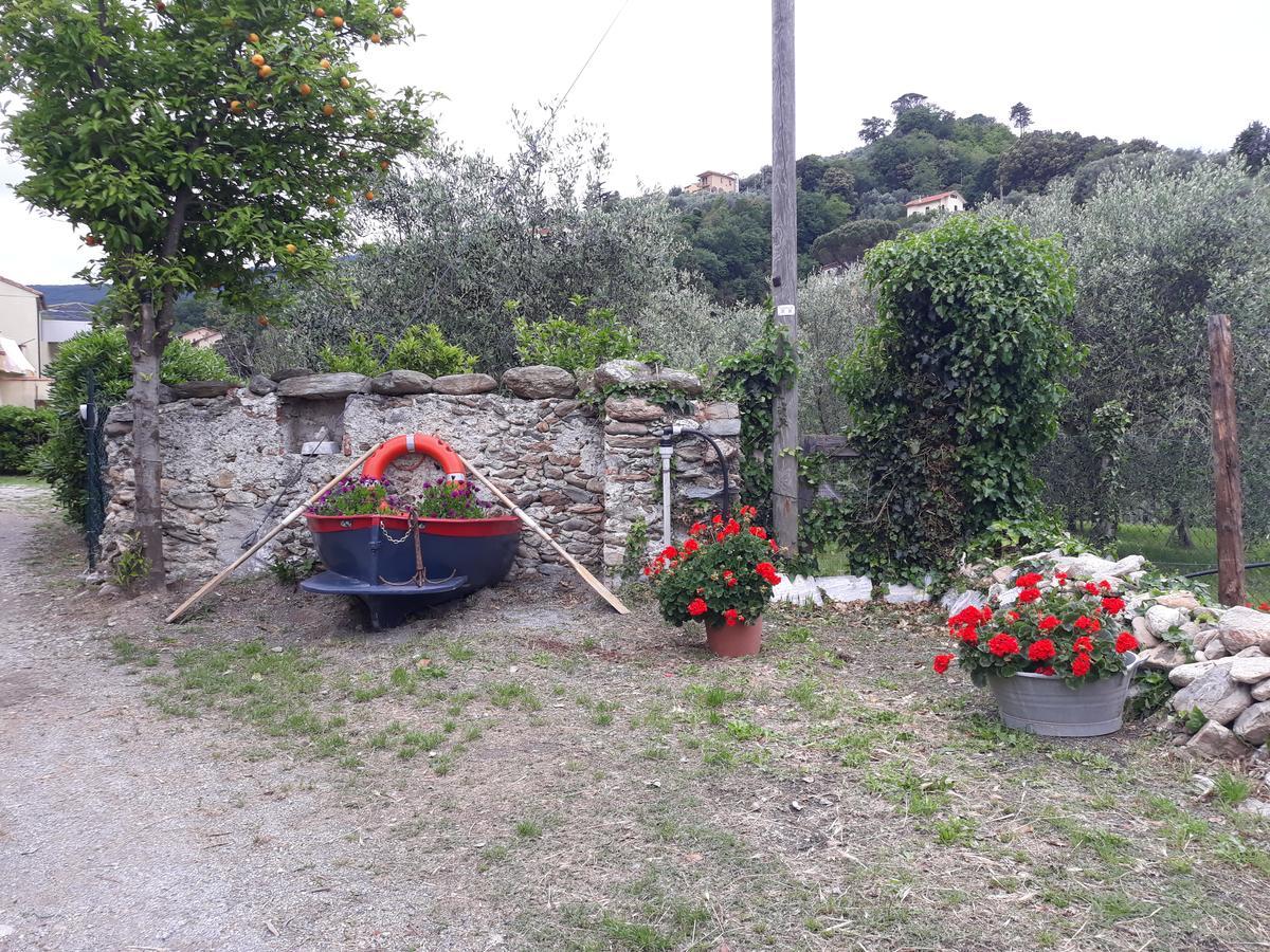 La Terra Di Mingo Bed & Breakfast Vado Ligure Eksteriør bilde