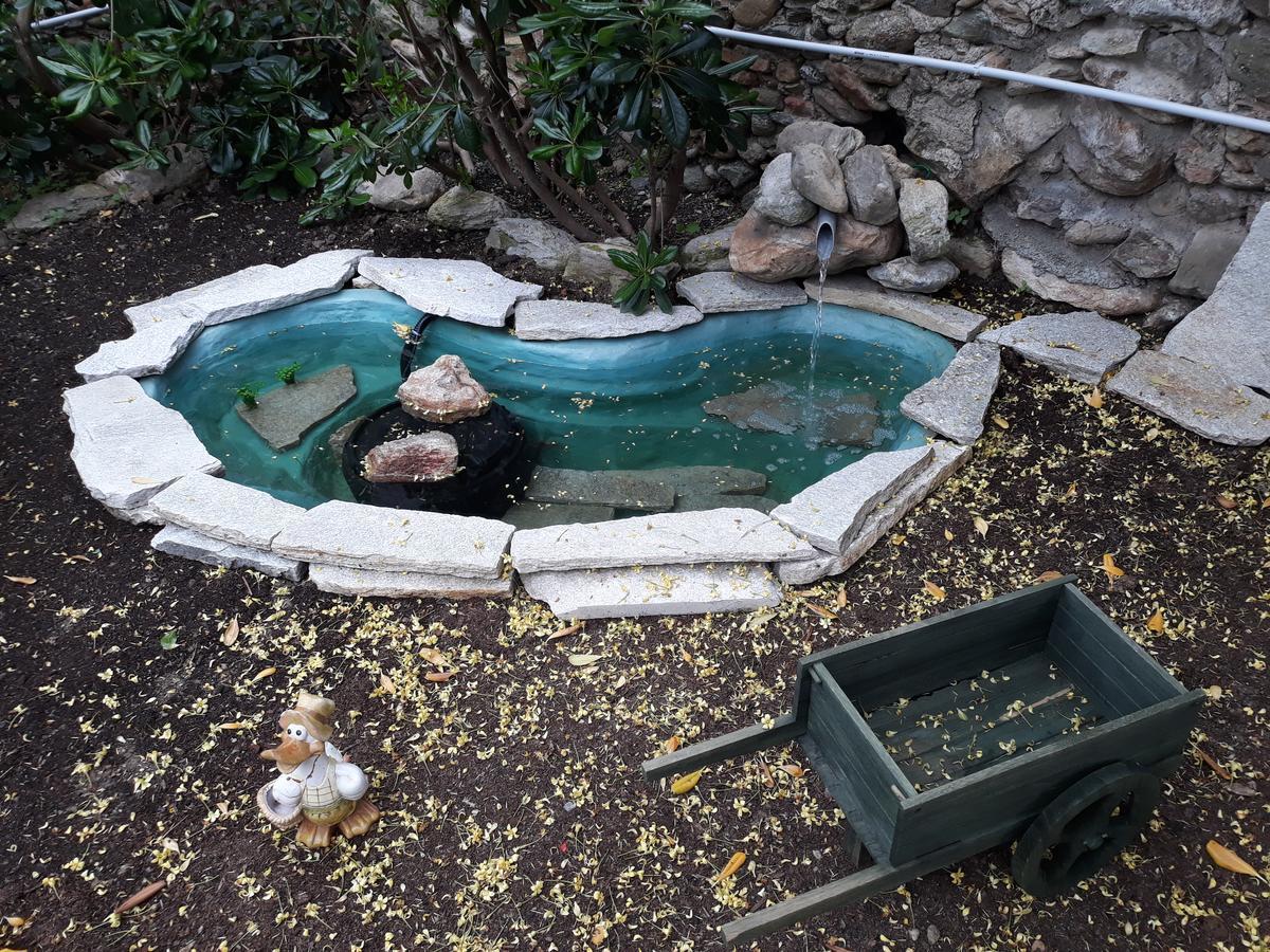 La Terra Di Mingo Bed & Breakfast Vado Ligure Eksteriør bilde