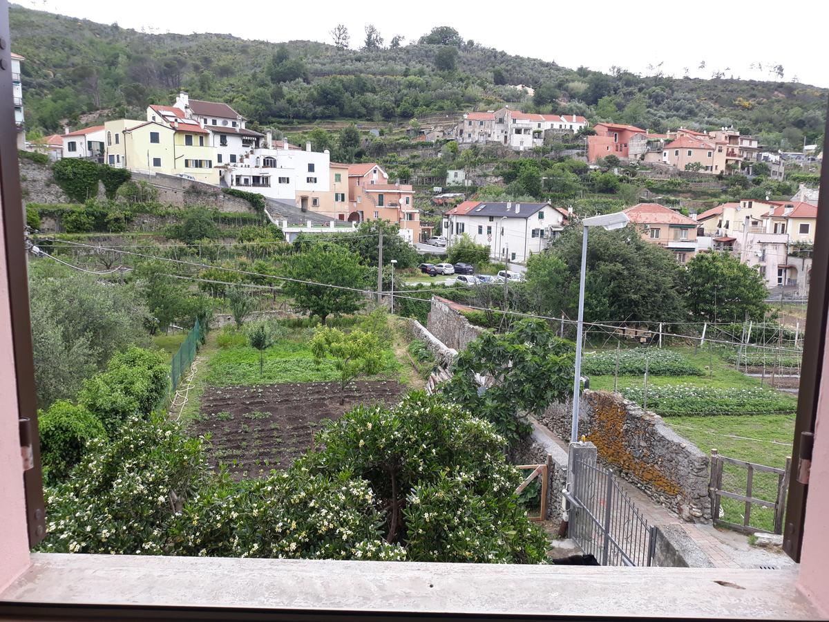 La Terra Di Mingo Bed & Breakfast Vado Ligure Eksteriør bilde